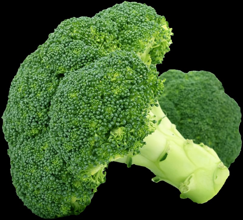 Stir-Fry